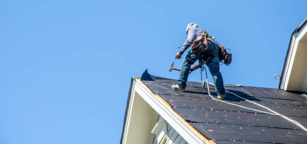 Best Local Roofing Companies  in Clio, MI